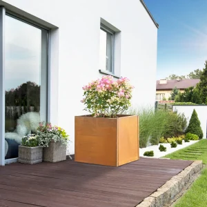 [casa.pro] Vaargel stålplanter